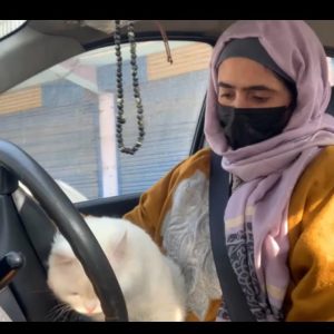 Book Your Driving Slot Now – Pay ₹2000 to Confirm!